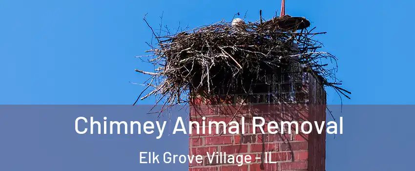 Chimney Animal Removal Elk Grove Village - IL