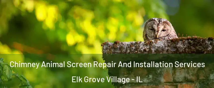  Chimney Animal Screen Repair And Installation Services Elk Grove Village - IL