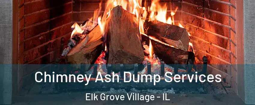  Chimney Ash Dump Services Elk Grove Village - IL