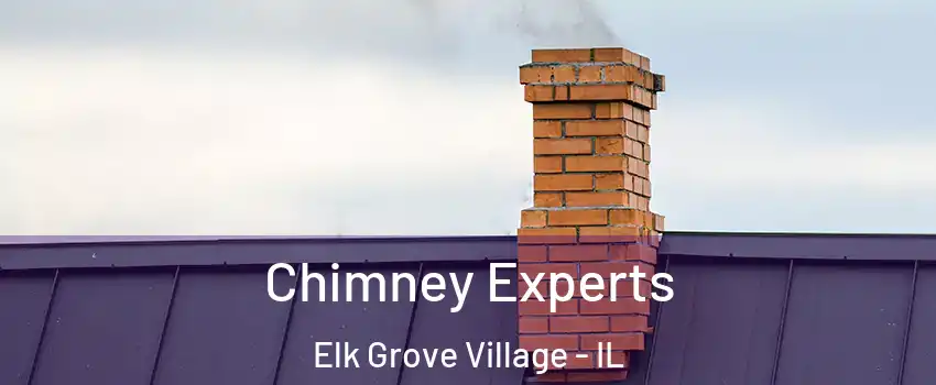  Chimney Experts Elk Grove Village - IL