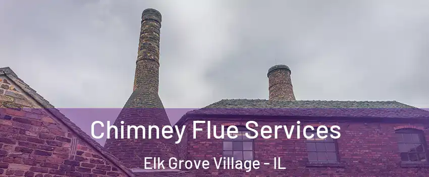  Chimney Flue Services Elk Grove Village - IL