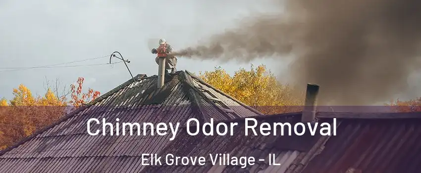  Chimney Odor Removal Elk Grove Village - IL