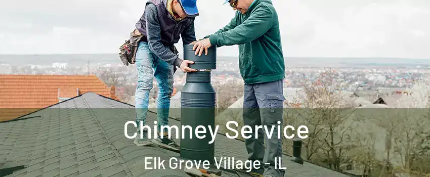  Chimney Service Elk Grove Village - IL