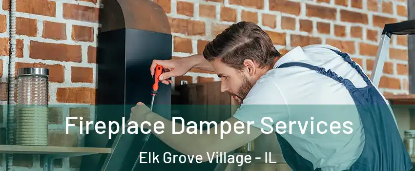  Fireplace Damper Services Elk Grove Village - IL