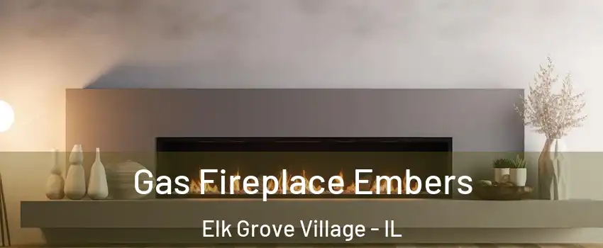  Gas Fireplace Embers Elk Grove Village - IL