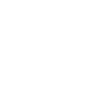 Professional Chimney Flue Installation in Elk Grove Village, Illinois