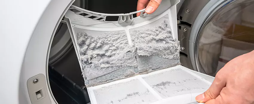 Best Dryer Lint Removal Company in Elk Grove Village, Illinois