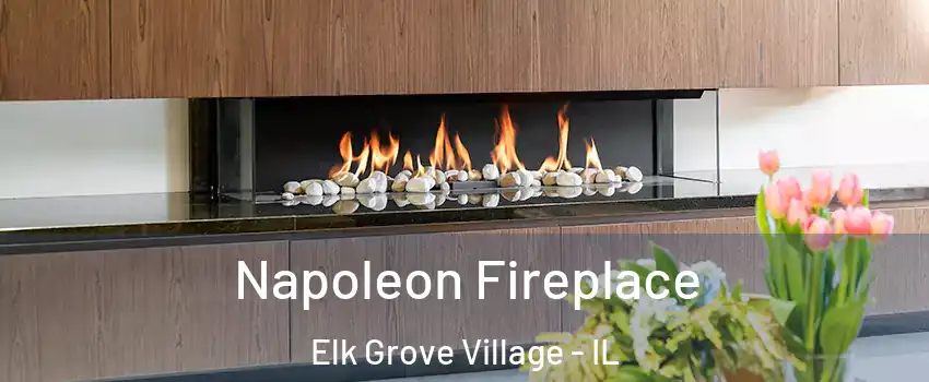  Napoleon Fireplace Elk Grove Village - IL