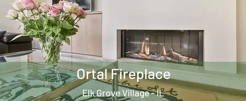  Ortal Fireplace Elk Grove Village - IL